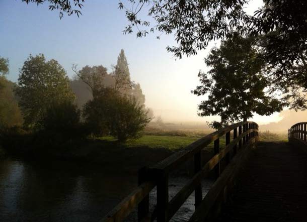 Misty morning over the common
